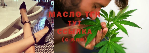 гидра Заводоуковск