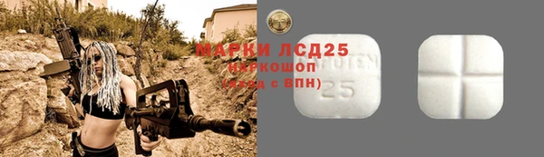 гидра Заводоуковск