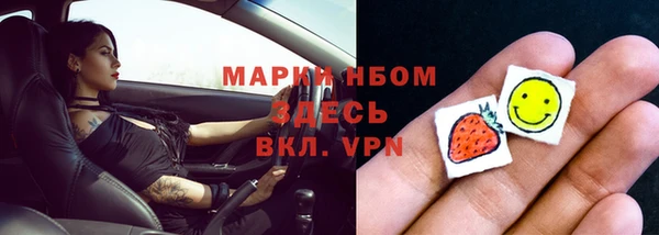 гидра Заводоуковск