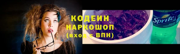 гидра Заводоуковск