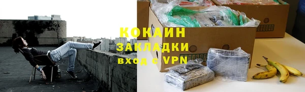 гидра Заводоуковск
