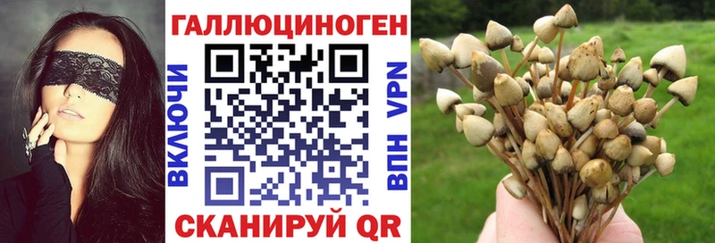 Купить закладки  Инсар  Галлюциногенные грибы GOLDEN TEACHER 